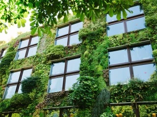 Green Landscape